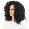 Women Fashion African Black Short Curly Wavy Hair Heat Resistant Wig Hairpiece